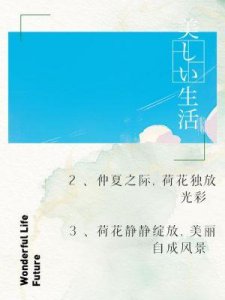 今年最动人心弦的脱口秀,触动每位东亚女孩的心弦