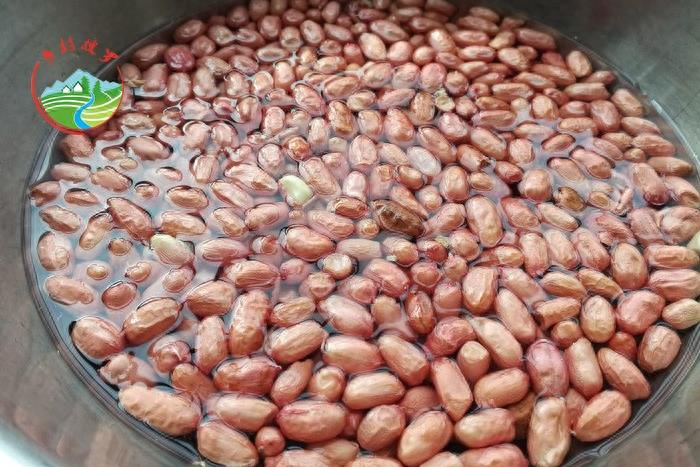 农村老家自制——辣椒花生碎,专治嘴馋小吃货!