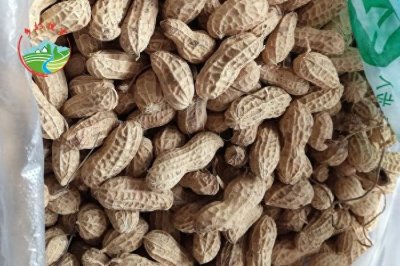 ​农村老家自制-辣椒花生碎，专治嘴馋小吃货！