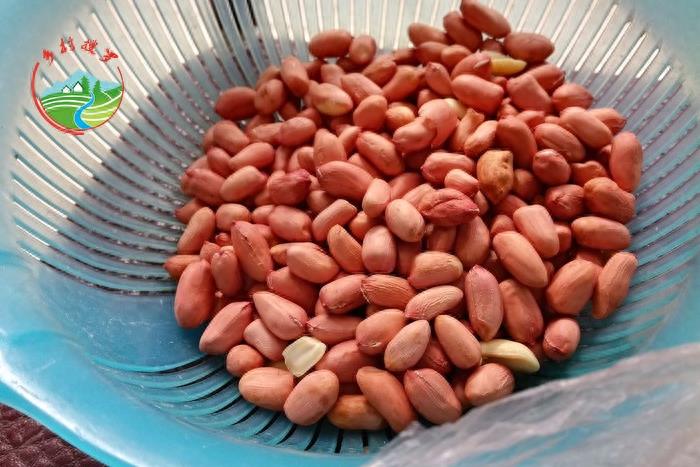 农村老家自制——辣椒花生碎,专治嘴馋小吃货!