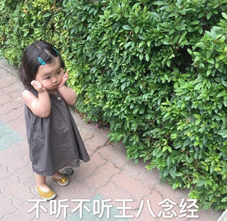 表情包:试探性的小眼神