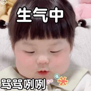 ​微信聊天表情包 - 我自闭了