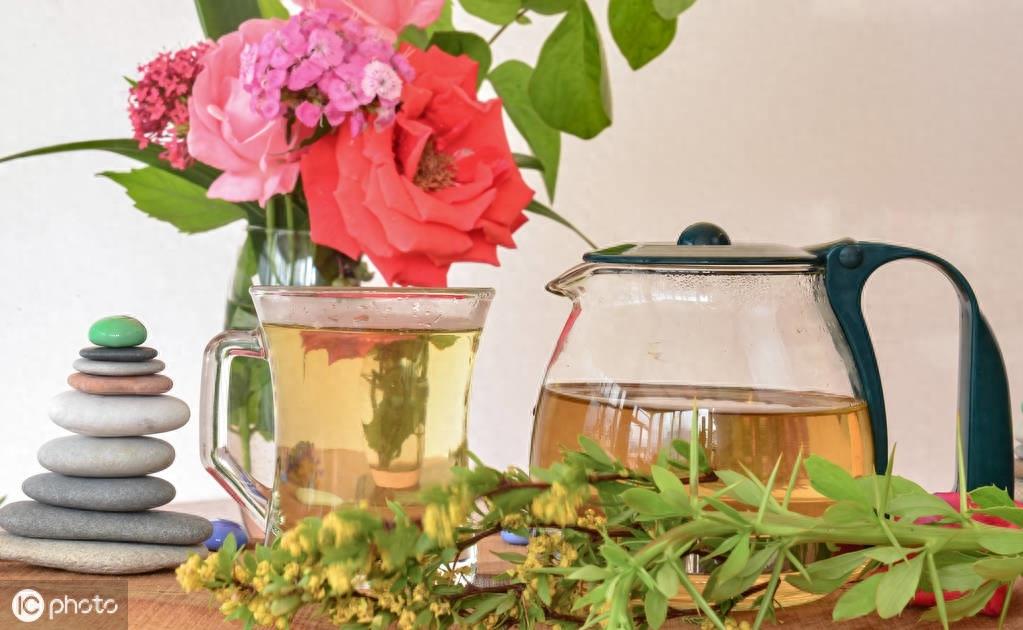 麦仙翁象征着喜爱自然