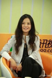 ​赵薇国籍争议引发热搜：事件回顾与影响分析