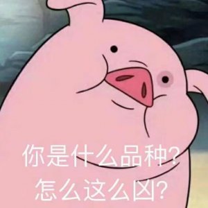 ​毕家军大闹年度现场不让大佛讲话！