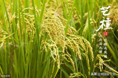 ​今日芒种，煮个霍思燕同款红豆薏仁水，清凉解暑还补水