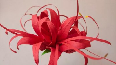 ​彼岸花手工折纸教程