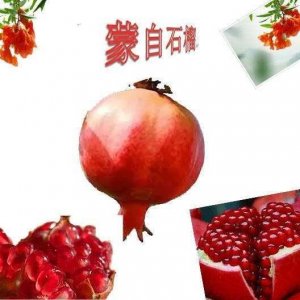 ​蒙自石榴之乡