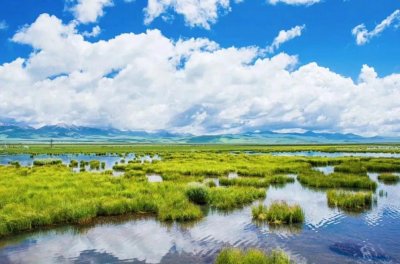 ​若尔盖大草原三日游线路攻略