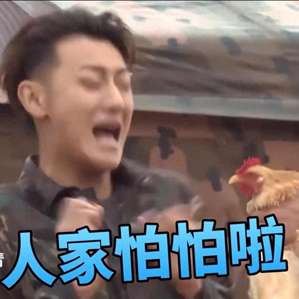 黄子韬表情包欣赏#娱乐大闯关#