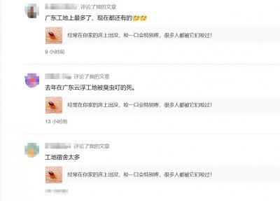 ​都说臭虫是广东特产，你还别不信，广东工地上的网友深受其害！