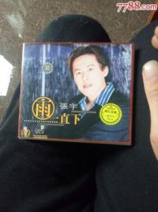 ​17岁相恋，异地后张宇劈腿，十一郎深受打击创作《雨一直下》