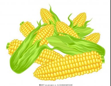 ​适合农村人做的那些小本生意10大排行榜