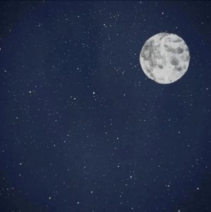 ​文案｜终究是意难平