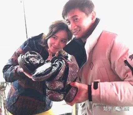 赵丽颖是什么时候火的_赵丽颖什么时候结婚_霍建华和赵丽颖结婚照片