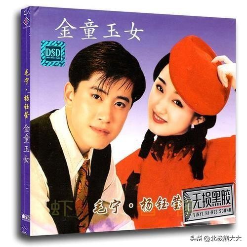 毛宁个人资料简介(毛宁,真的可惜了)