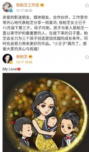 ​张柏芝现任丈夫孙东海（传三胎儿子生父是内地富商）