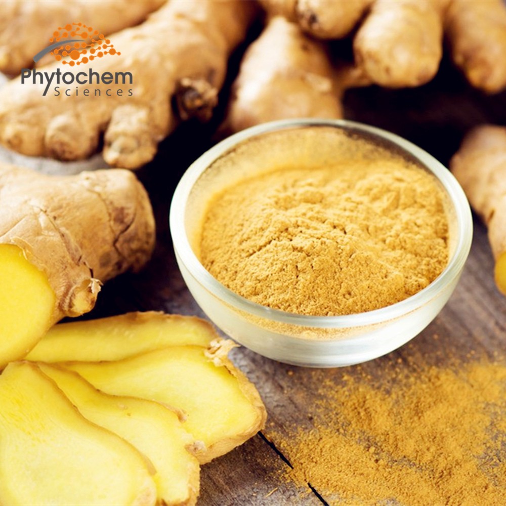 姜gary_貌似姜gary有女友了_姜gary女友