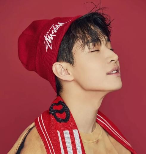 刘宪华退出向往的生活原因 原来是为音乐不得不退出啊