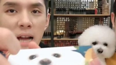 ​李佳琦以前是怎样的（离开李佳琦花西子们的）