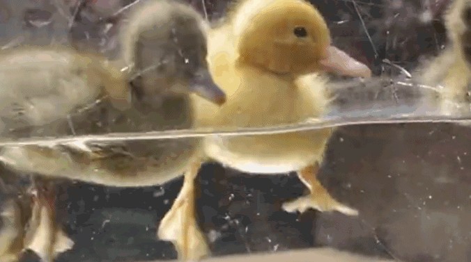 李佳琦以前是怎样的(离开李佳琦花西子们的)(3)