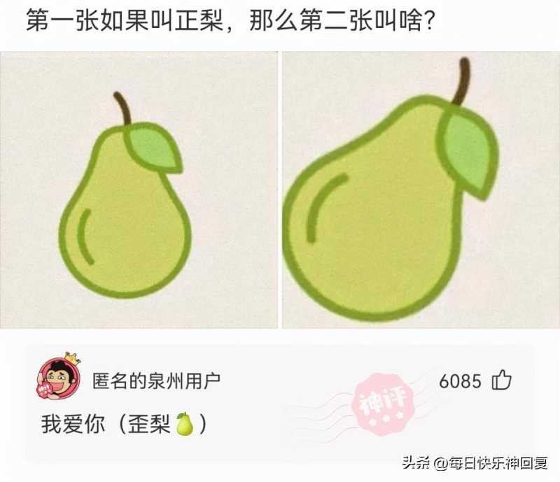 西北玄天一片云(这个商家也太会玩了吧)