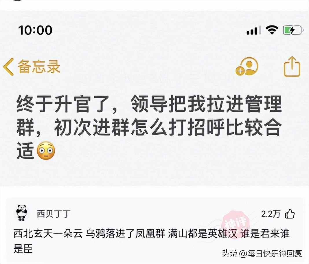 西北玄天一片云(这个商家也太会玩了吧)