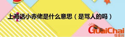​小赤佬是什么意思？小赤佬是哪里方言？