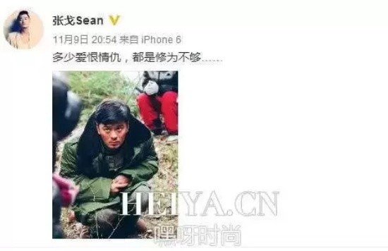 王鸥老公是谁(王鸥老公张戈个人资料介绍照片)