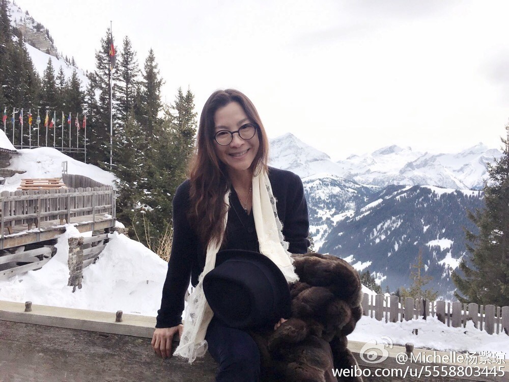 杨紫琼老公法拉利老板托德身价多少