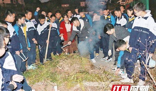 学校霸王花当场铲除(长沙学校现加拿大一枝黄花)