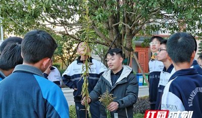 ​学校霸王花当场铲除（长沙学校现加拿大一枝黄花）