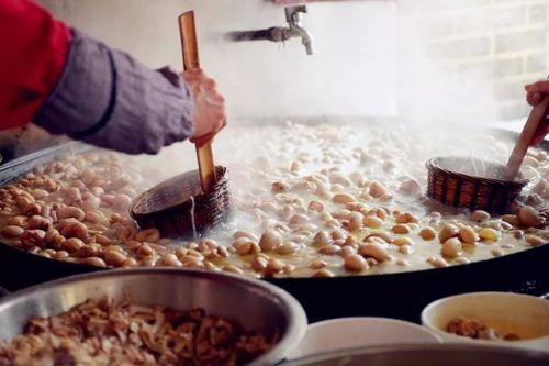 成都爱之家动物救助中心(成都爱之家动物救助中心地址电话)-第2张图片-