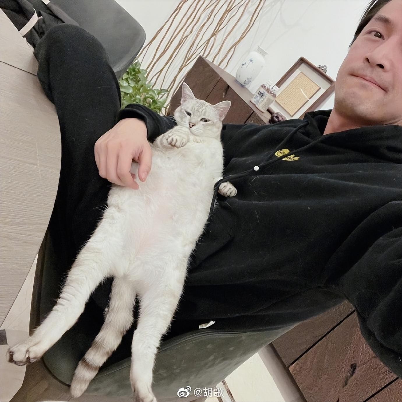 胡歌官宣和圈外老婆生下女儿,工作室回应:感谢大家一路陪伴胡歌先生走过人生每一个重要阶段,祝福!