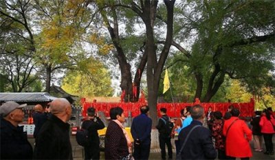 ​农历十月初一什么时间祭祖？不能早，也不可晚，遵循老祖宗的规矩