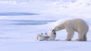 高评分的纪录片有哪些(6部接近满分的纪录片推荐)