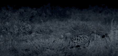 高评分的纪录片有哪些(6部接近满分的纪录片推荐)