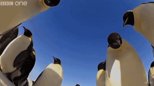 高评分的纪录片有哪些(6部接近满分的纪录片推荐)