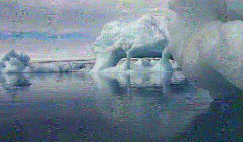 高评分的纪录片有哪些(6部接近满分的纪录片推荐)
