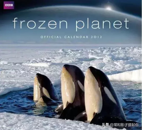 高评分的纪录片有哪些(6部接近满分的纪录片推荐)