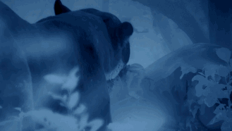 高评分的纪录片有哪些(6部接近满分的纪录片推荐)