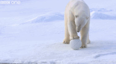 高评分的纪录片有哪些(6部接近满分的纪录片推荐)