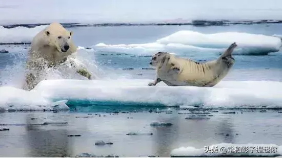 高评分的纪录片有哪些(6部接近满分的纪录片推荐)