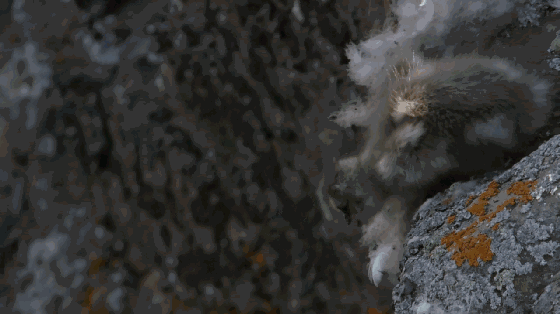 高评分的纪录片有哪些(6部接近满分的纪录片推荐)