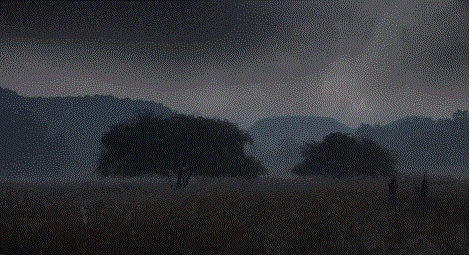 高评分的纪录片有哪些(6部接近满分的纪录片推荐)