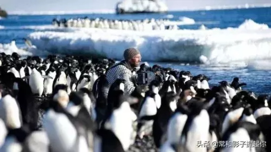 高评分的纪录片有哪些(6部接近满分的纪录片推荐)