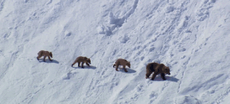 高评分的纪录片有哪些(6部接近满分的纪录片推荐)