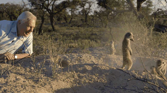 高评分的纪录片有哪些(6部接近满分的纪录片推荐)