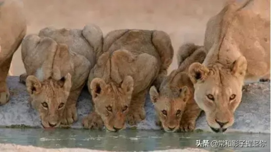 高评分的纪录片有哪些(6部接近满分的纪录片推荐)