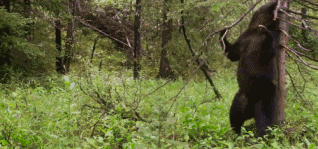 高评分的纪录片有哪些(6部接近满分的纪录片推荐)